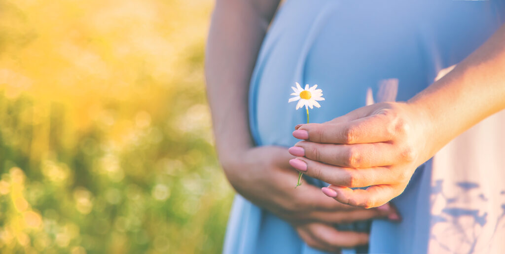 Schwangere Frau mit Blume in der Hand auf Wiese